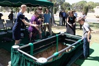 IMG 7913